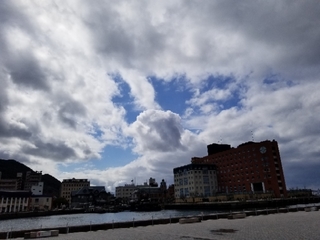 20190308105127849.jpg
