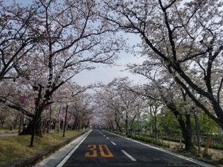 20190411085154717.jpg