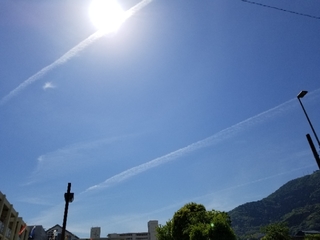 20190510113055140.jpg