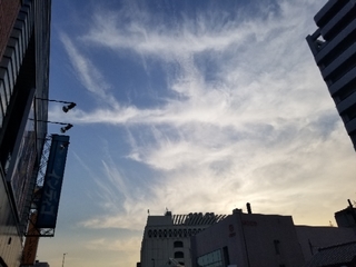 20190606080743536.jpg