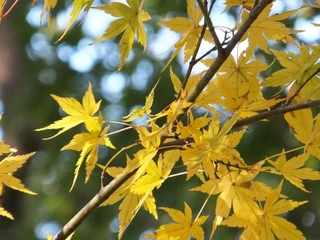 20190913085201605.jpg